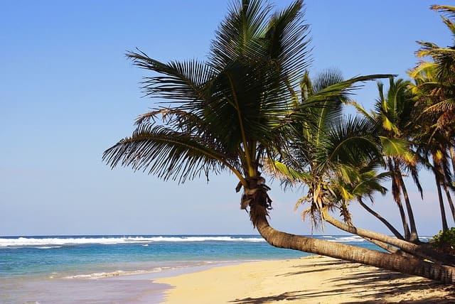 Punta cana en republica dominicana